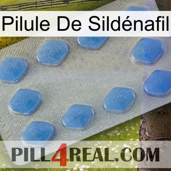 Pilule De Sildénafil 21